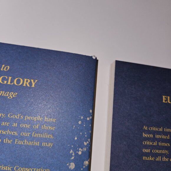 8 Paperback Books Lot 33 Days to Eucharistic Glory Catholic DUPLICATES - Picture 9 of 12